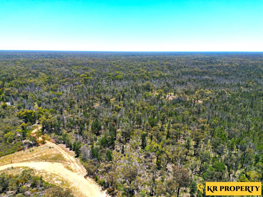 1690 Westport Road, JACKS CREEK, NSW 2390 AUS