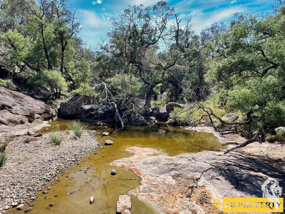 LOT 2/939 Wave Hill Road, TARRIARO, NSW 2390 AUS