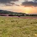 LOT 2/939 Wave Hill Road, TARRIARO, NSW 2390 AUS