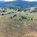 LOT 2/939 Wave Hill Road, TARRIARO, NSW 2390 AUS