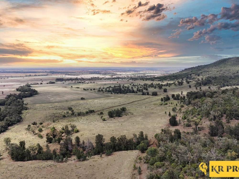 LOT 2/939 Wave Hill Road, TARRIARO, NSW 2390 AUS