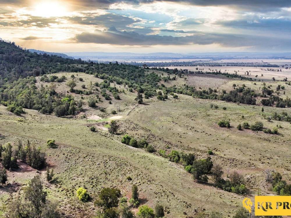 LOT 2/939 Wave Hill Road, TARRIARO, NSW 2390 AUS