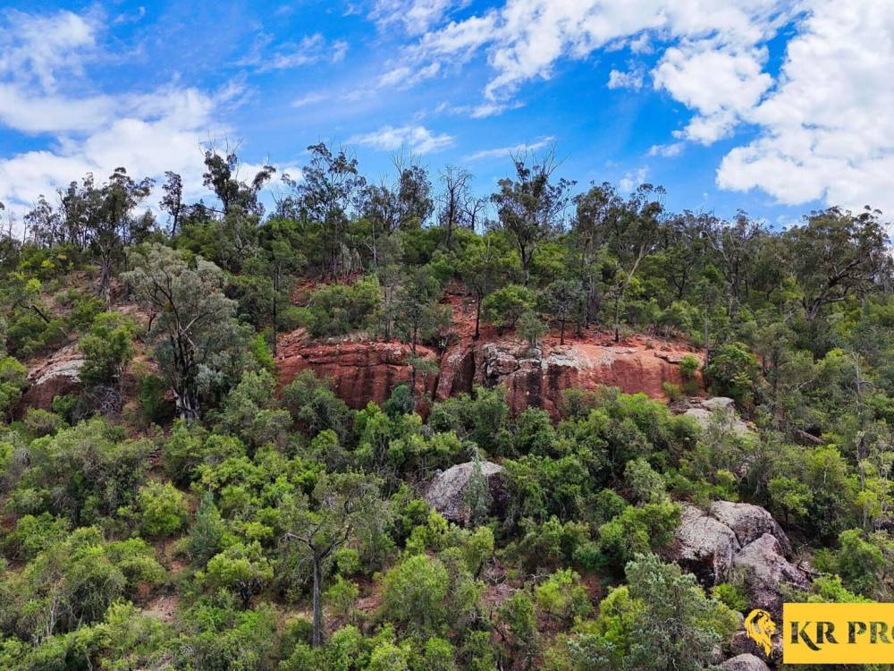 LOT 2/939 Wave Hill Road, TARRIARO, NSW 2390 AUS