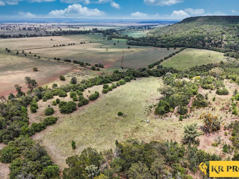 LOT 2/939 Wave Hill Road, TARRIARO, NSW 2390 AUS