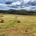 LOT 2/939 Wave Hill Road, TARRIARO, NSW 2390 AUS