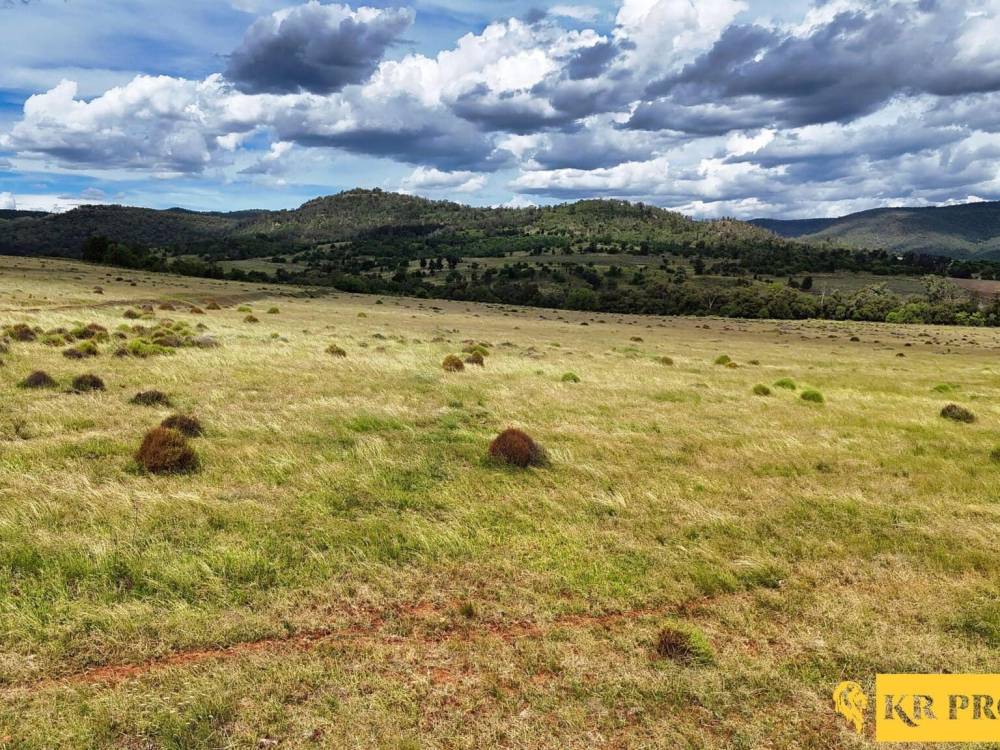 LOT 2/939 Wave Hill Road, TARRIARO, NSW 2390 AUS