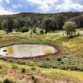 LOT 2/939 Wave Hill Road, TARRIARO, NSW 2390 AUS