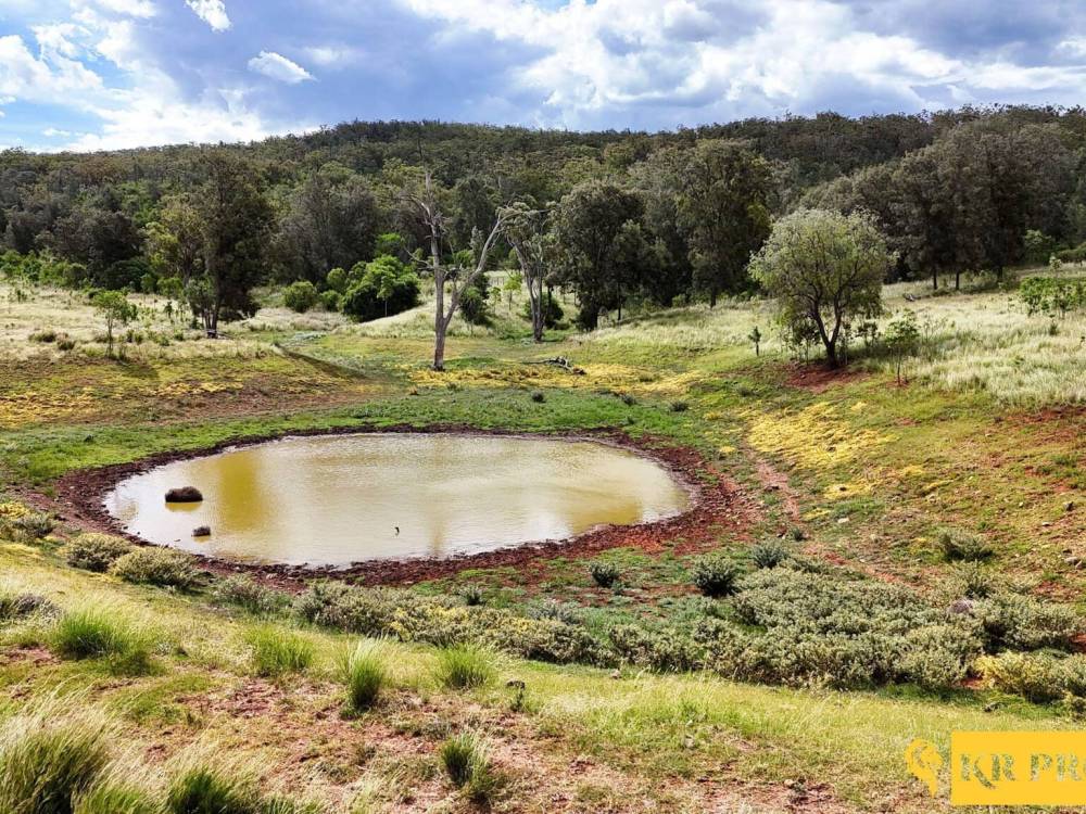 LOT 2/939 Wave Hill Road, TARRIARO, NSW 2390 AUS