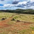 LOT 2/939 Wave Hill Road, TARRIARO, NSW 2390 AUS