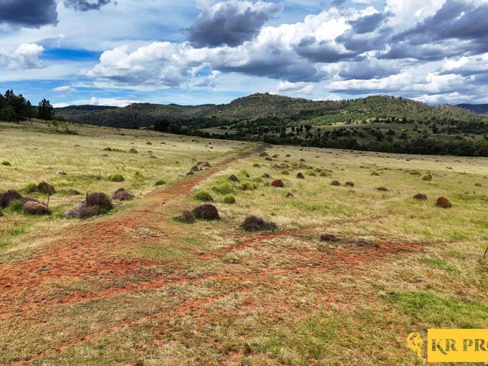 LOT 2/939 Wave Hill Road, TARRIARO, NSW 2390 AUS