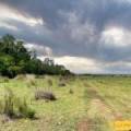 LOT 2/939 Wave Hill Road, TARRIARO, NSW 2390 AUS