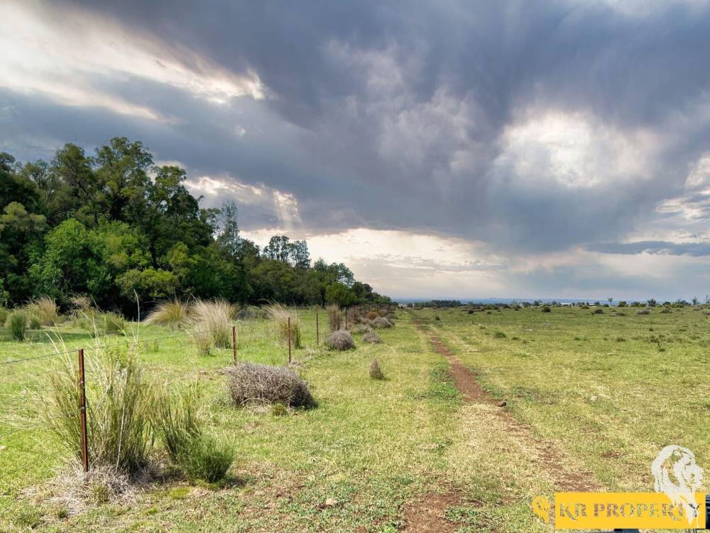 LOT 2/939 Wave Hill Road, TARRIARO, NSW 2390 AUS