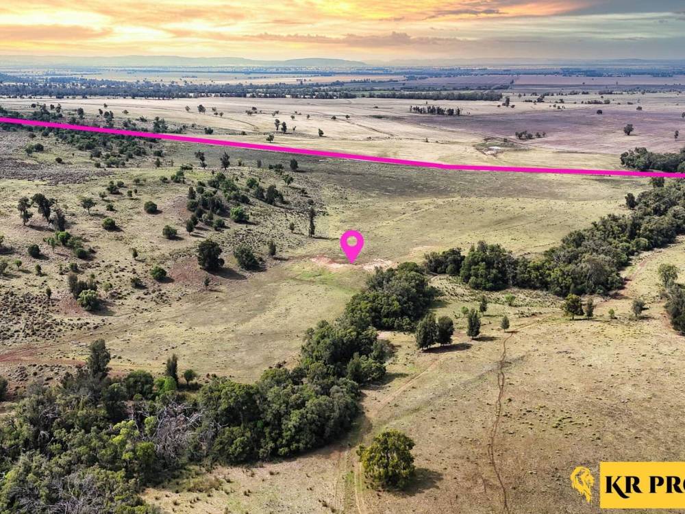 LOT 2/939 Wave Hill Road, TARRIARO, NSW 2390 AUS