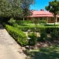 36 Boundary Street, WEE WAA, NSW 2388 AUS