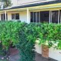 65 Cowper Street, WEE WAA, NSW 2388 AUS