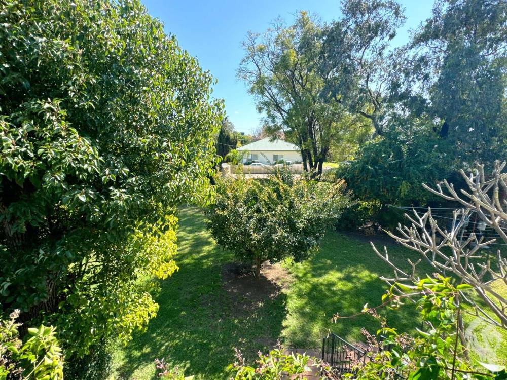 65 Cowper Street, WEE WAA, NSW 2388 AUS