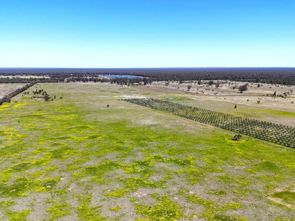 399 Glenwood Lane, BOHENA CREEK, NSW 2390 AUS