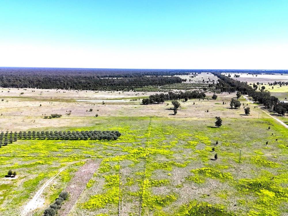 399 Glenwood Lane, BOHENA CREEK, NSW 2390 AUS