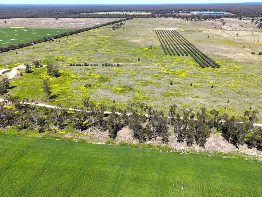 399 Glenwood Lane, BOHENA CREEK, NSW 2390 AUS