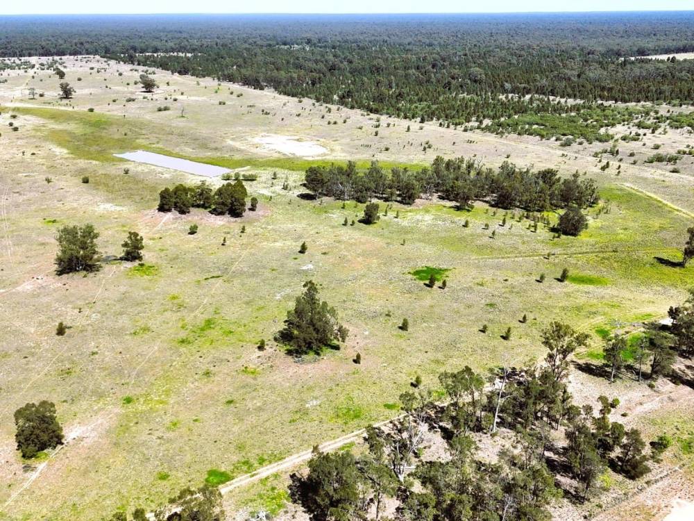 399 Glenwood Lane, BOHENA CREEK, NSW 2390 AUS