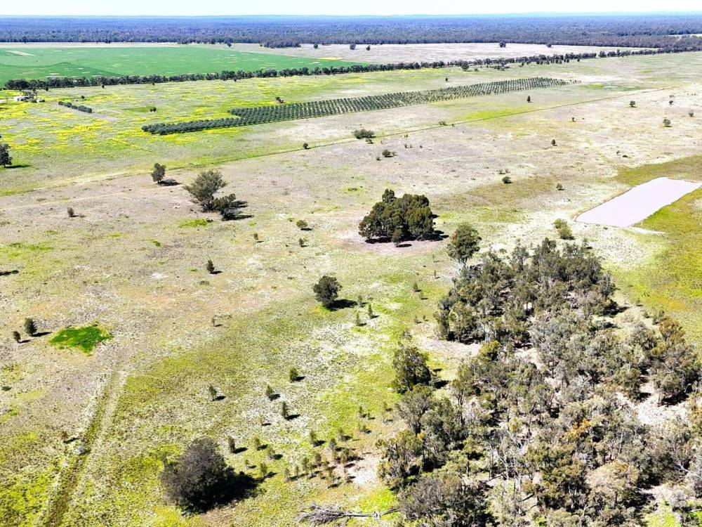 399 Glenwood Lane, BOHENA CREEK, NSW 2390 AUS