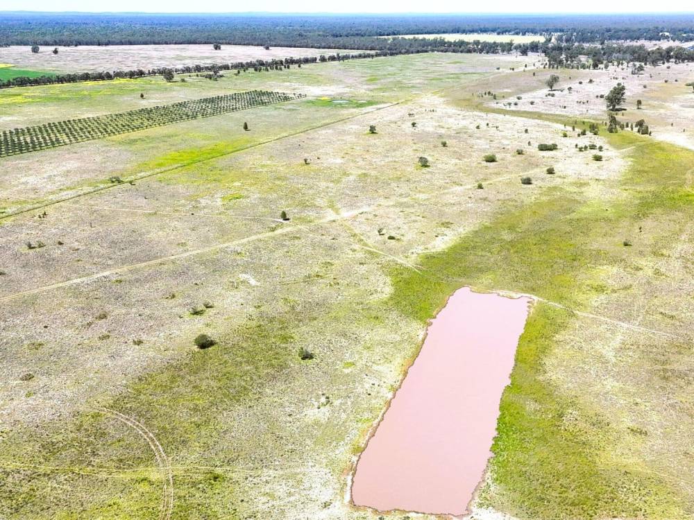 399 Glenwood Lane, BOHENA CREEK, NSW 2390 AUS