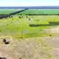 399 Glenwood Lane, BOHENA CREEK, NSW 2390 AUS