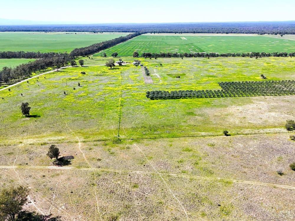 399 Glenwood Lane, BOHENA CREEK, NSW 2390 AUS