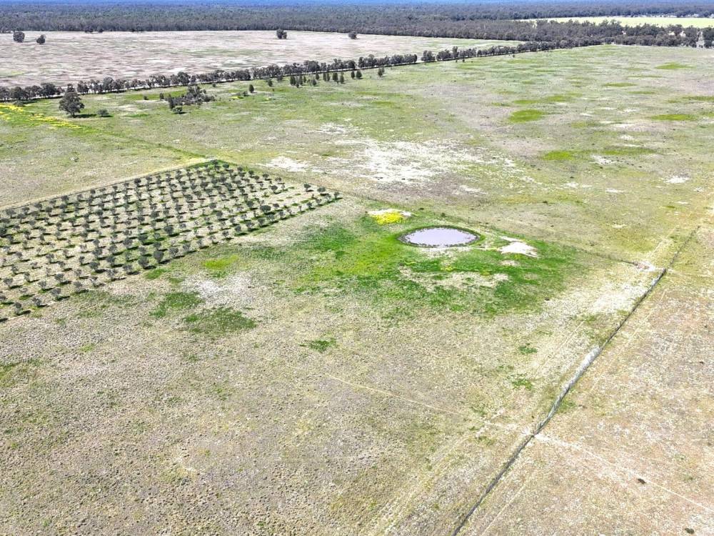 399 Glenwood Lane, BOHENA CREEK, NSW 2390 AUS