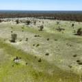 399 Glenwood Lane, BOHENA CREEK, NSW 2390 AUS