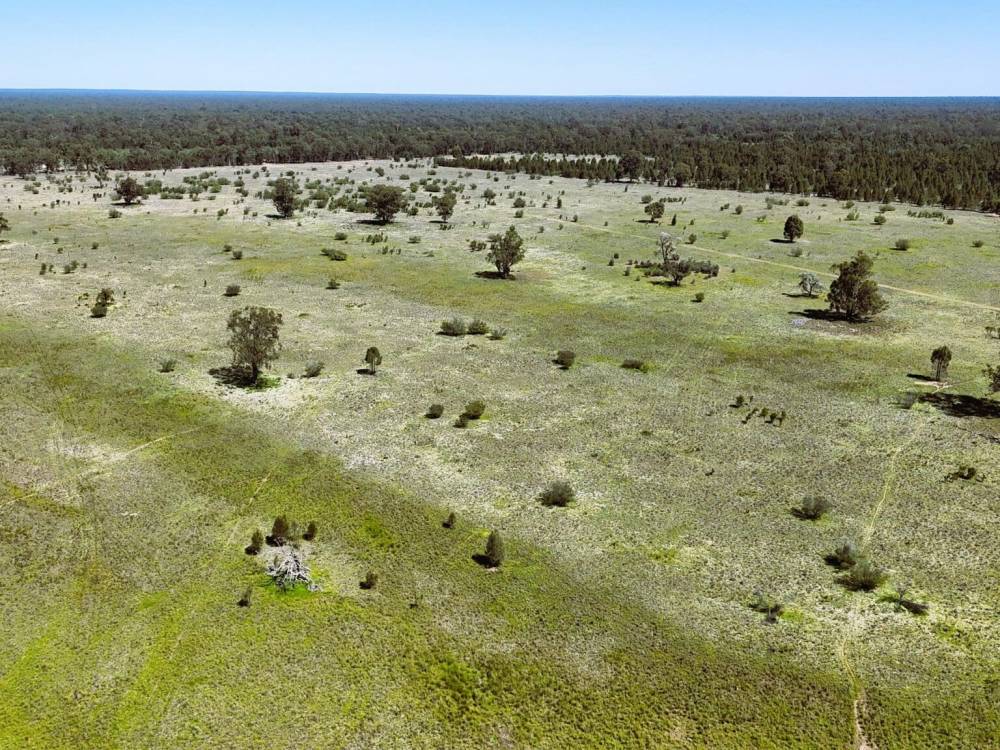 399 Glenwood Lane, BOHENA CREEK, NSW 2390 AUS