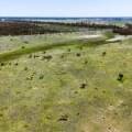 399 Glenwood Lane, BOHENA CREEK, NSW 2390 AUS