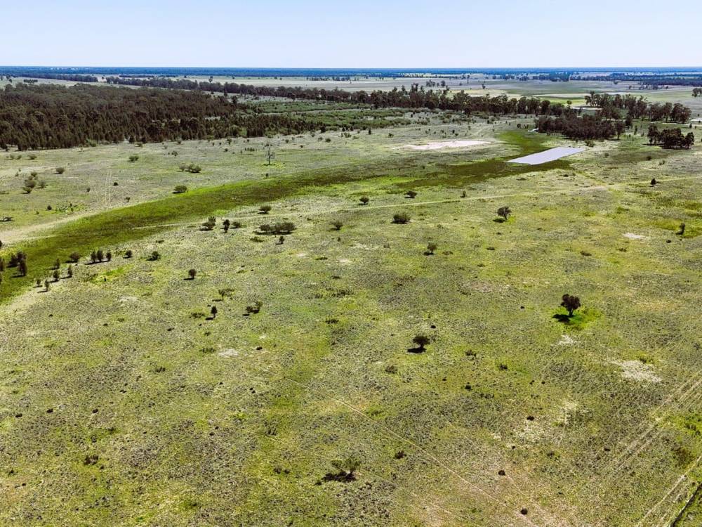 399 Glenwood Lane, BOHENA CREEK, NSW 2390 AUS