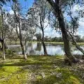 483 Gwabegar Road, CUTTABRI, NSW 2388 AUS