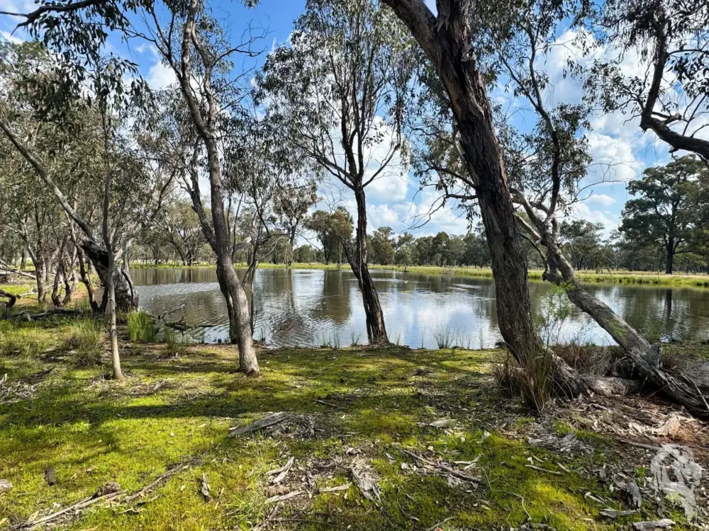 483 Gwabegar Road, CUTTABRI, NSW 2388 AUS