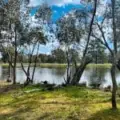 483 Gwabegar Road, CUTTABRI, NSW 2388 AUS