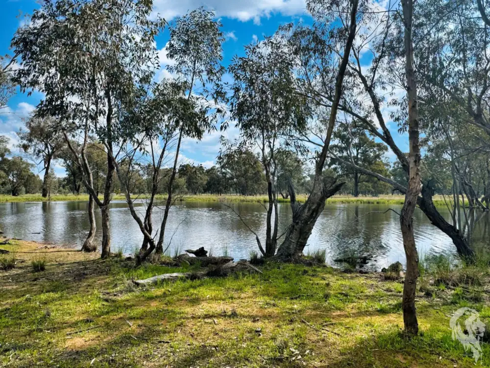 483 Gwabegar Road, CUTTABRI, NSW 2388 AUS