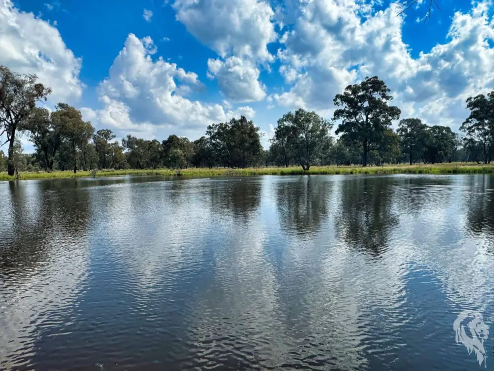 483 Gwabegar Road, CUTTABRI, NSW 2388 AUS