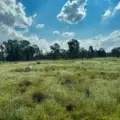 483 Gwabegar Road, CUTTABRI, NSW 2388 AUS