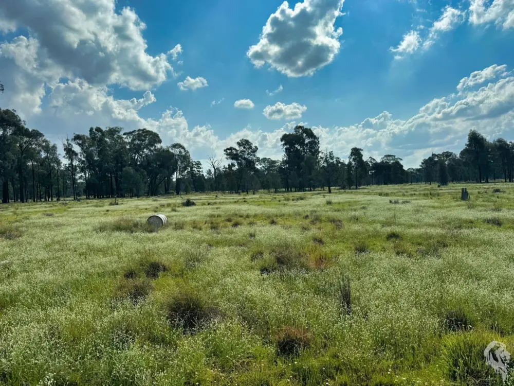 483 Gwabegar Road, CUTTABRI, NSW 2388 AUS
