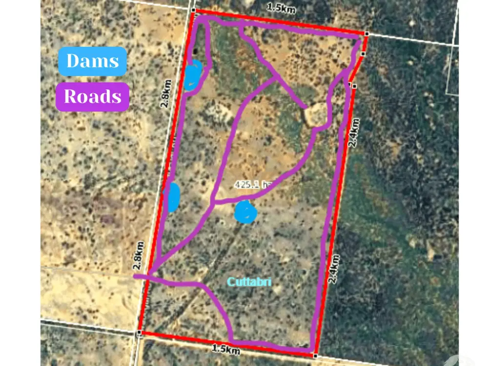 483 Gwabegar Road, CUTTABRI, NSW 2388 AUS