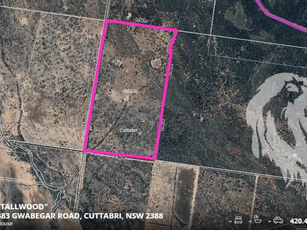 483 Gwabegar Road, CUTTABRI, NSW 2388 AUS