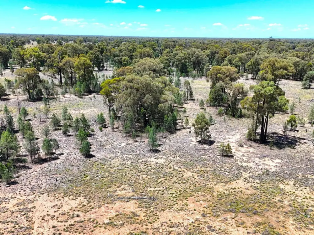 483 Gwabegar Road, CUTTABRI, NSW 2388 AUS
