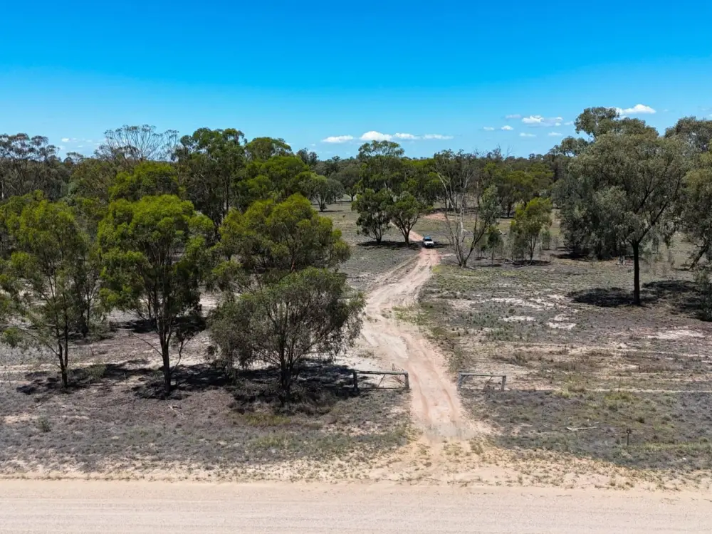 483 Gwabegar Road, CUTTABRI, NSW 2388 AUS