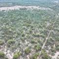 Lot 67 Pilliga Road, PILLIGA, NSW 2388 AUS