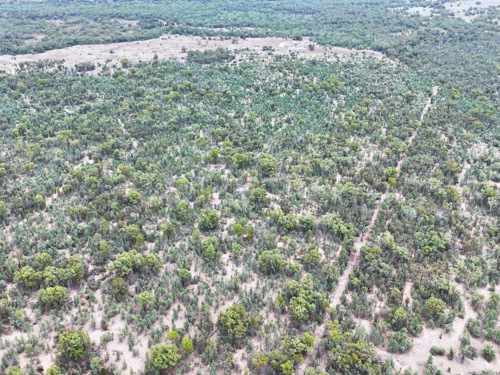 Lot 67 Pilliga Road, PILLIGA, NSW 2388 AUS
