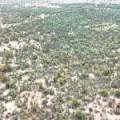 Lot 67 Pilliga Road, PILLIGA, NSW 2388 AUS