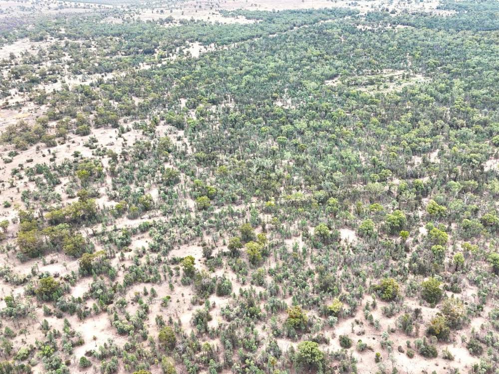 Lot 67 Pilliga Road, PILLIGA, NSW 2388 AUS
