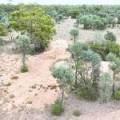 Lot 67 Pilliga Road, PILLIGA, NSW 2388 AUS