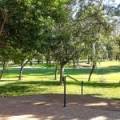 6 Wandi Place, NARRABRI, NSW 2390 AUS